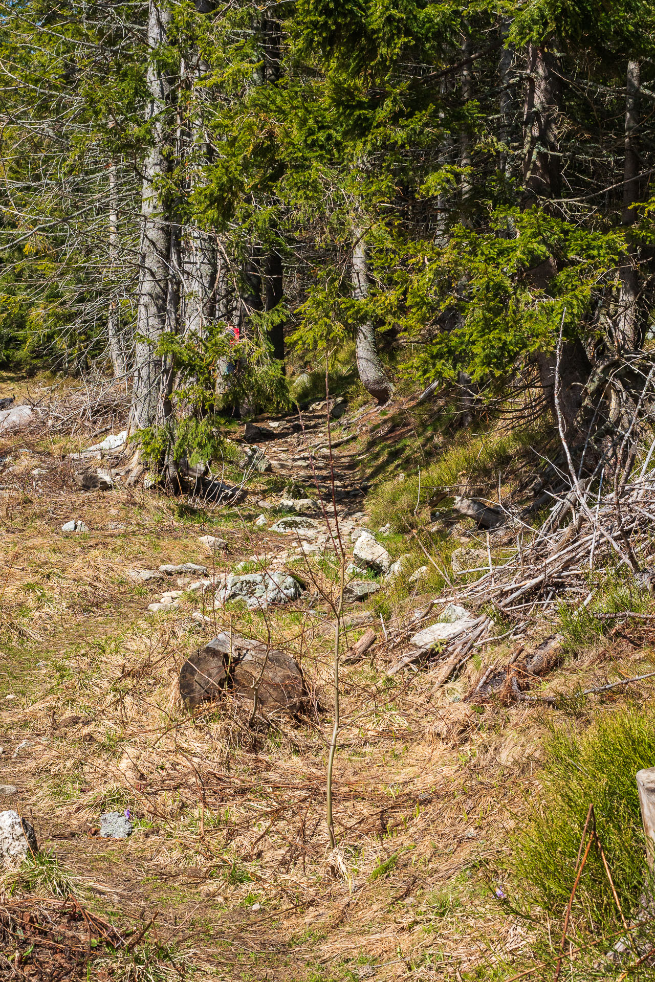 Rovná hoľa z Vyšnej Boce (Nízke Tatry)