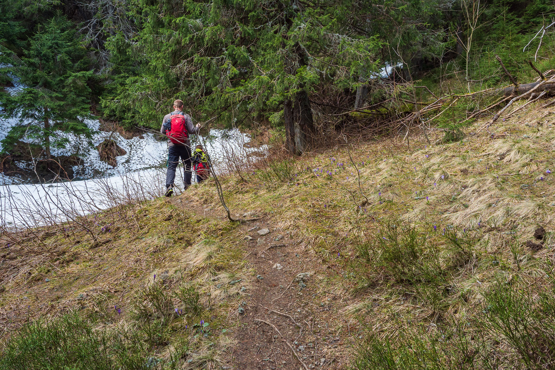 Rovná hoľa z Vyšnej Boce (Nízke Tatry)