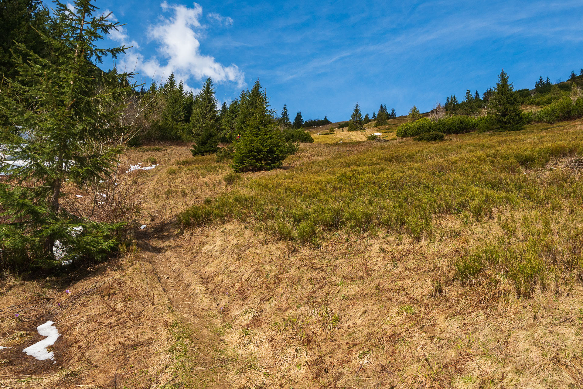 Rovná hoľa z Vyšnej Boce (Nízke Tatry)