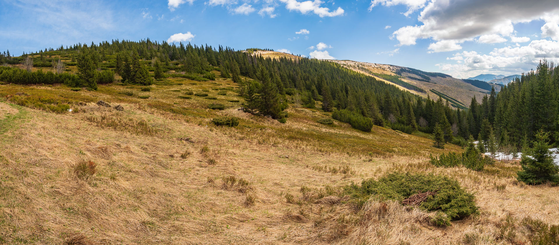 Rovná hoľa z Vyšnej Boce (Nízke Tatry)