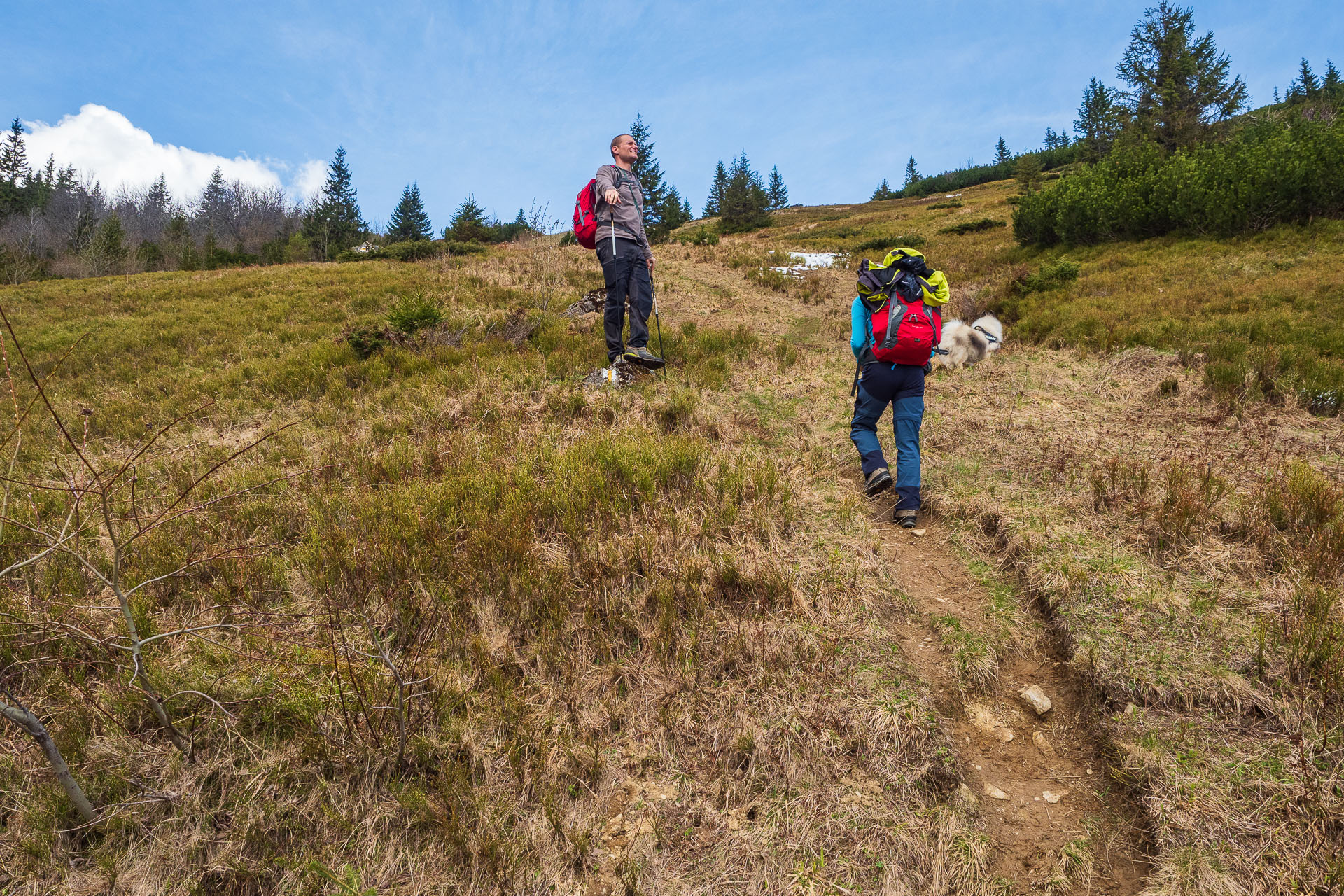 Rovná hoľa z Vyšnej Boce (Nízke Tatry)