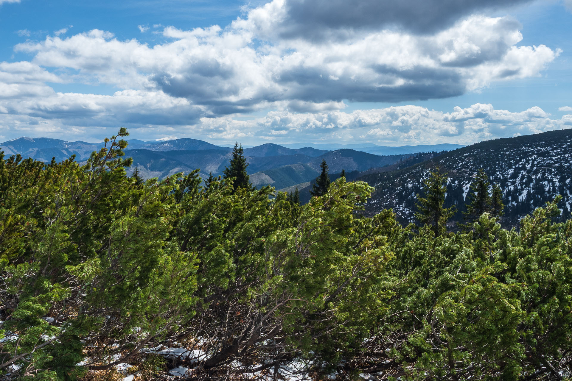 Rovná hoľa z Vyšnej Boce (Nízke Tatry)