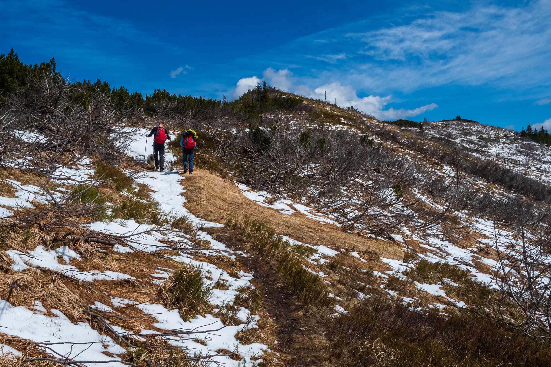 Rovná hoľa z Vyšnej Boce (Nízke Tatry)