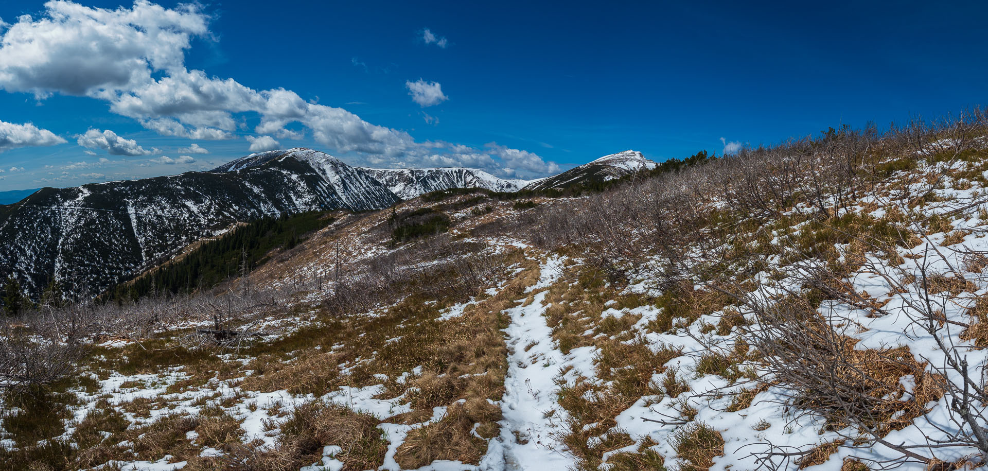 Rovná hoľa z Vyšnej Boce (Nízke Tatry)