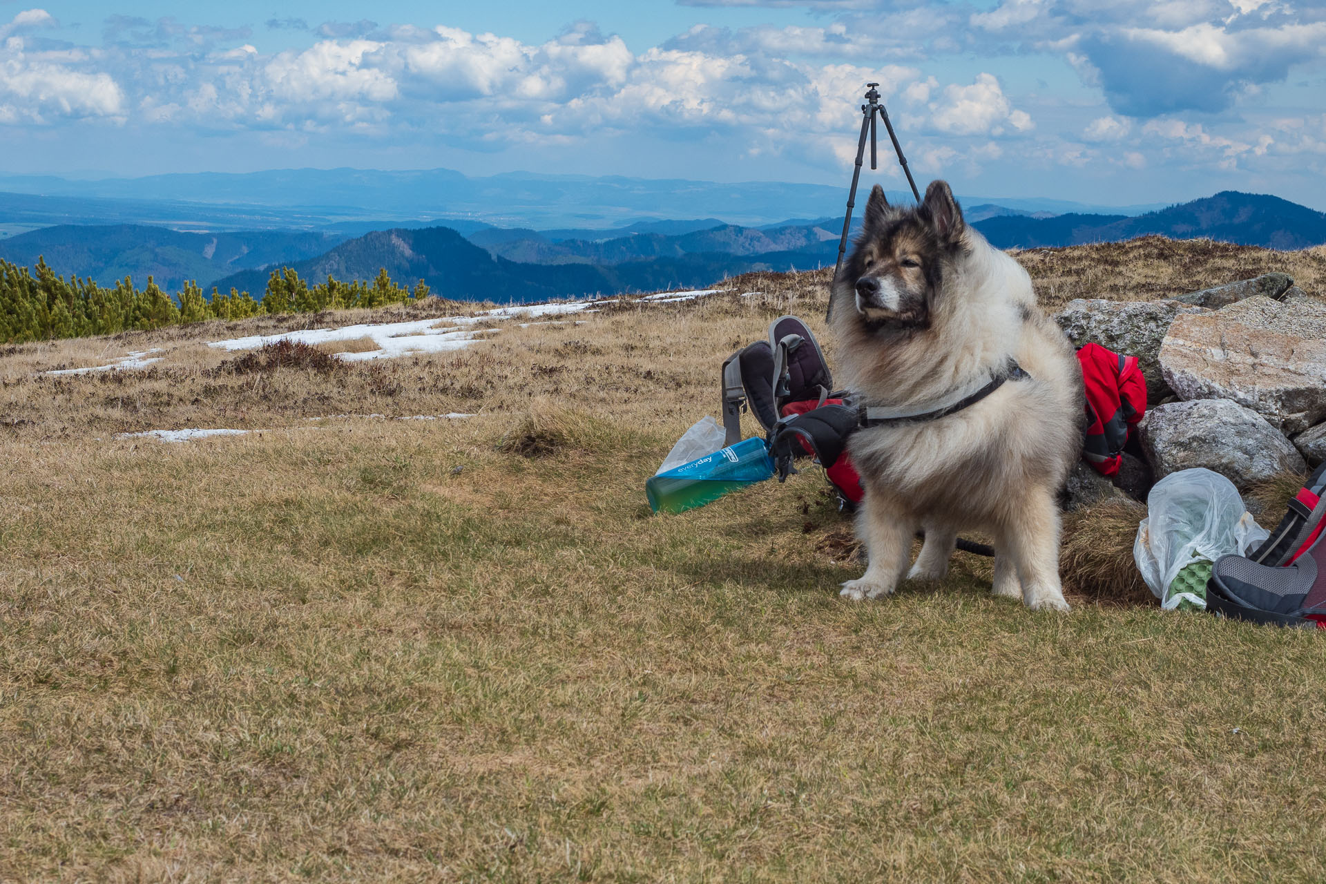 Rovná hoľa z Vyšnej Boce (Nízke Tatry)