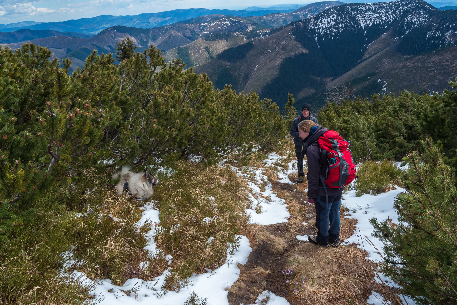 Rovná hoľa z Vyšnej Boce (Nízke Tatry)