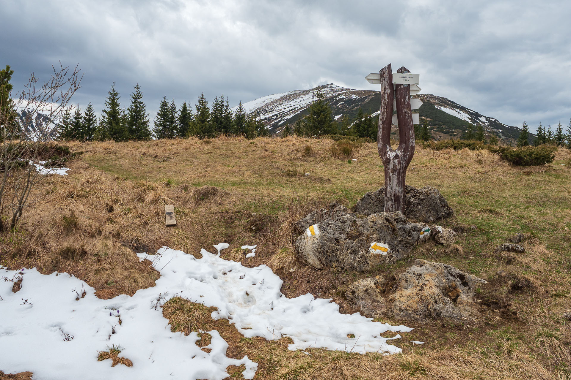 Rovná hoľa z Vyšnej Boce (Nízke Tatry)