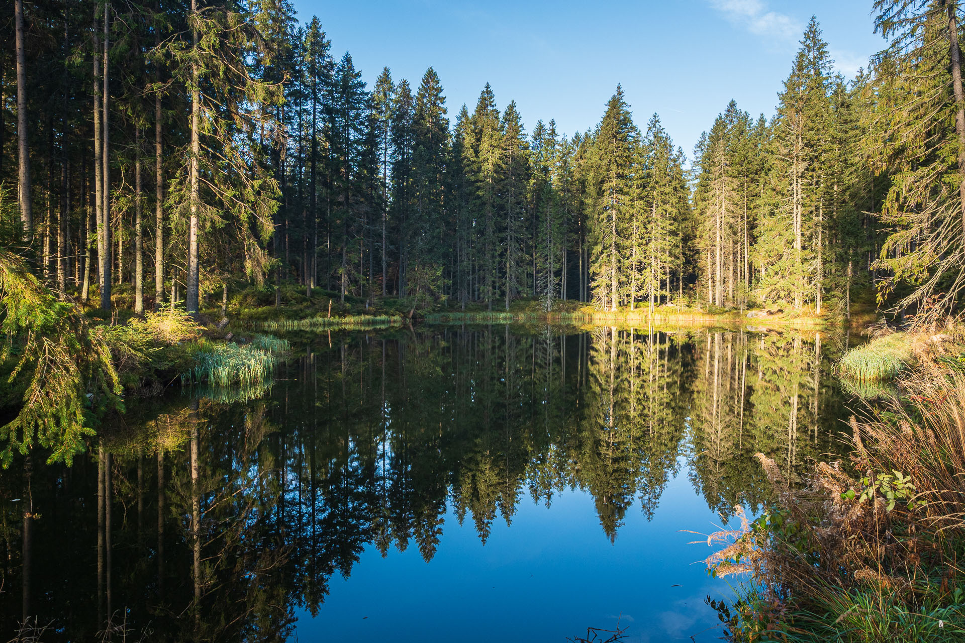 Lúčna od Zverovky (Západné Tatry)