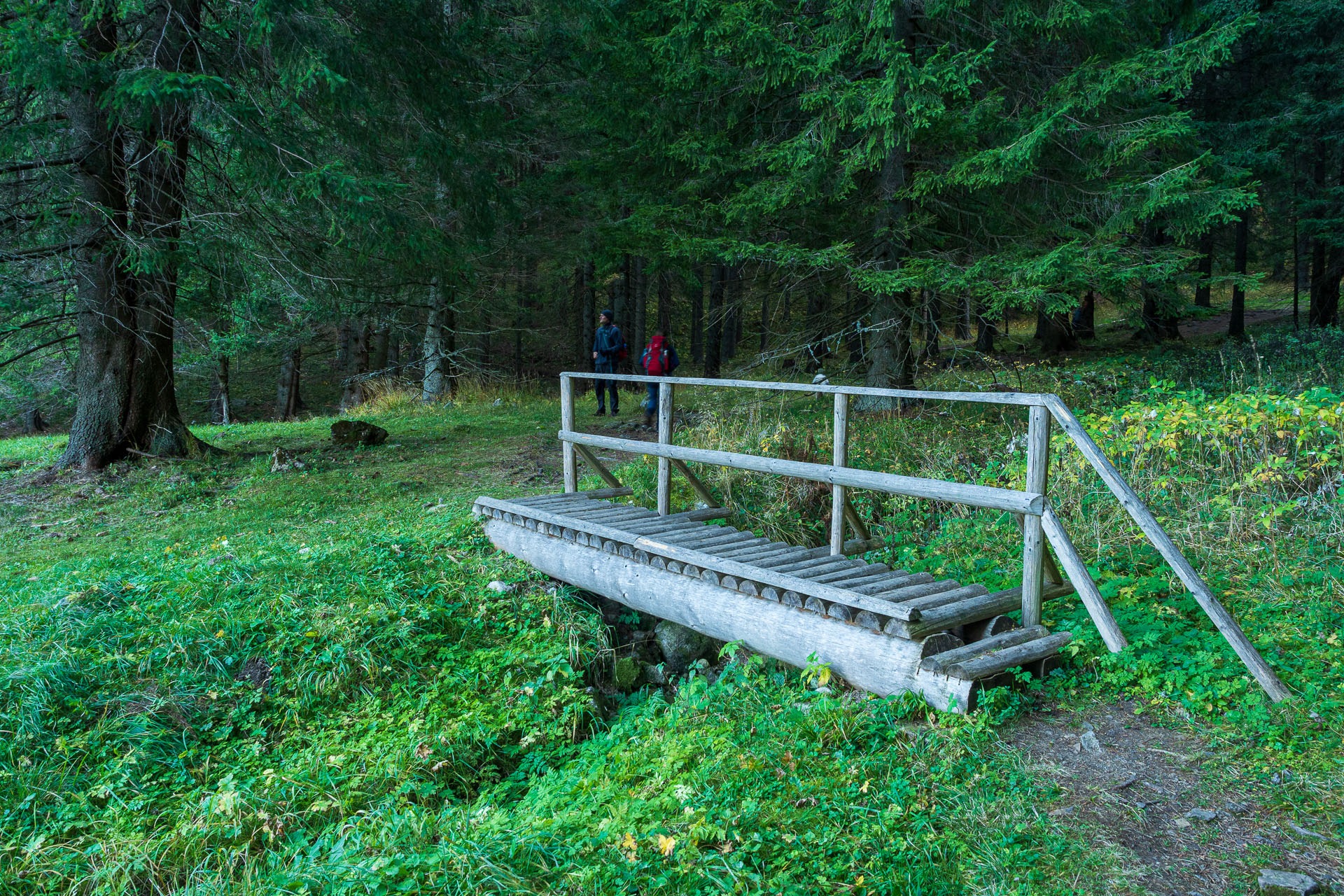 Lúčna od Zverovky (Západné Tatry)