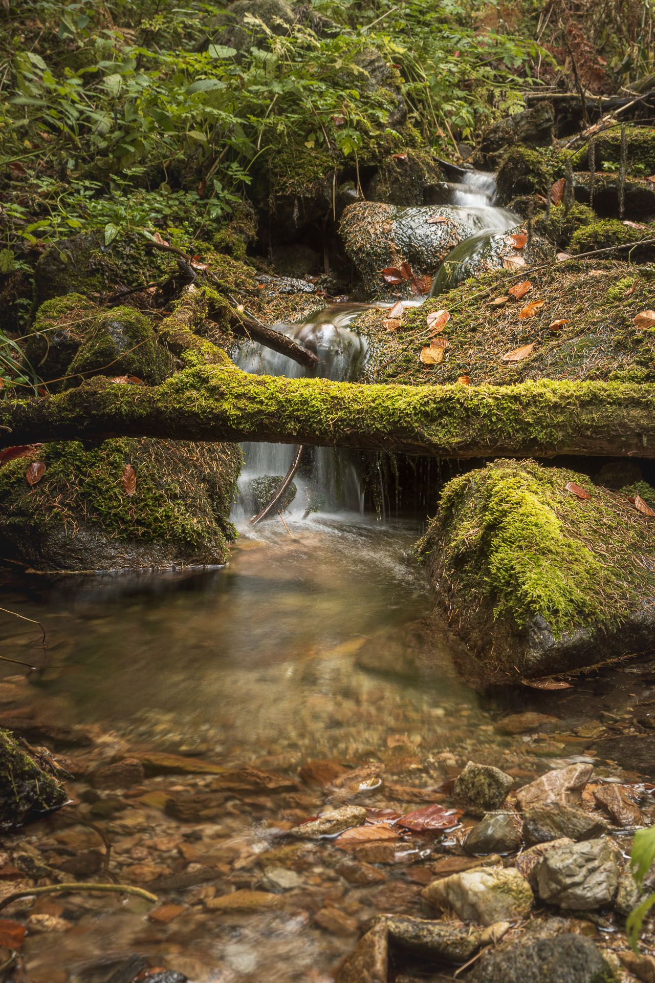 Lúčna od Zverovky (Západné Tatry)