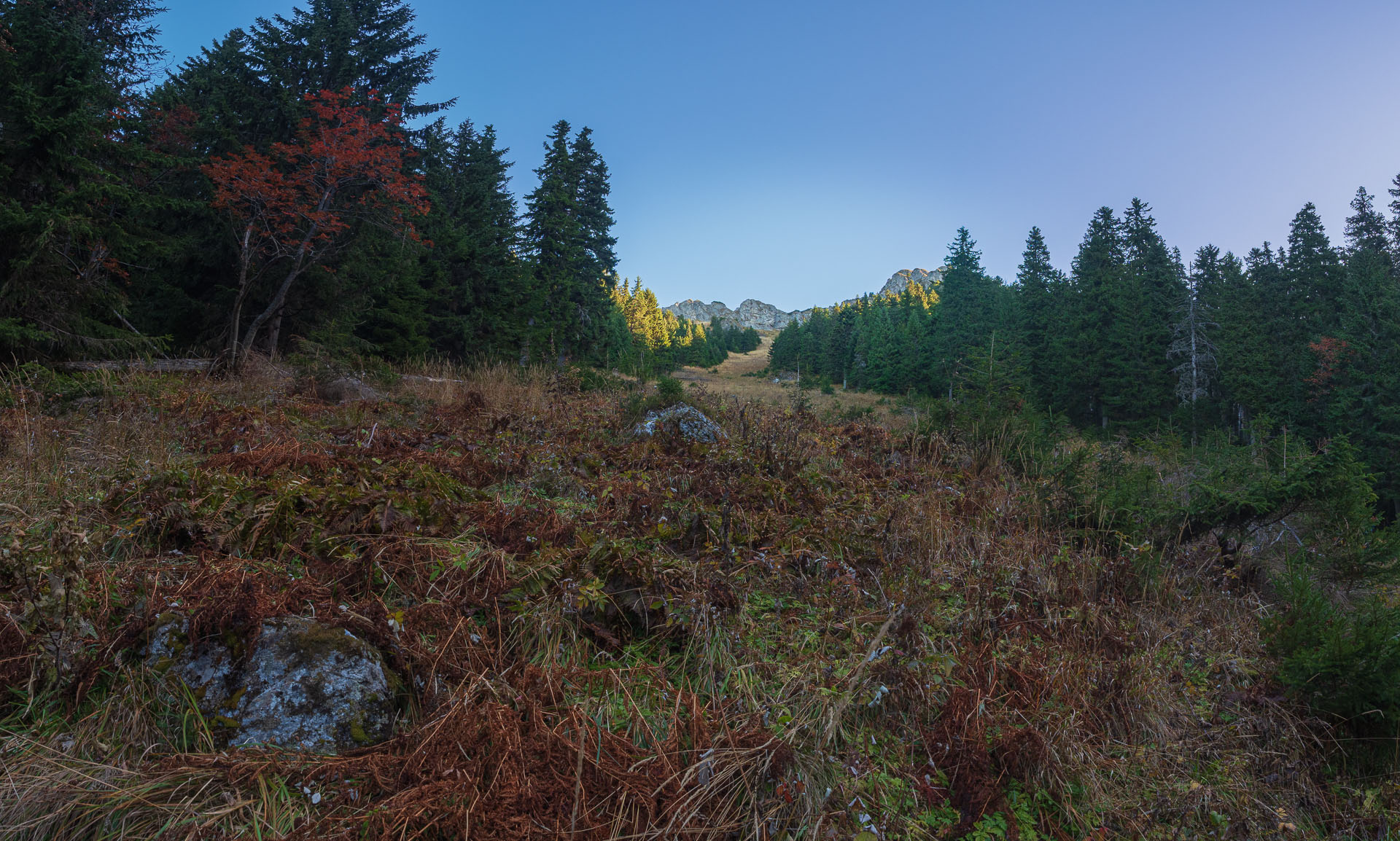 Lúčna od Zverovky (Západné Tatry)