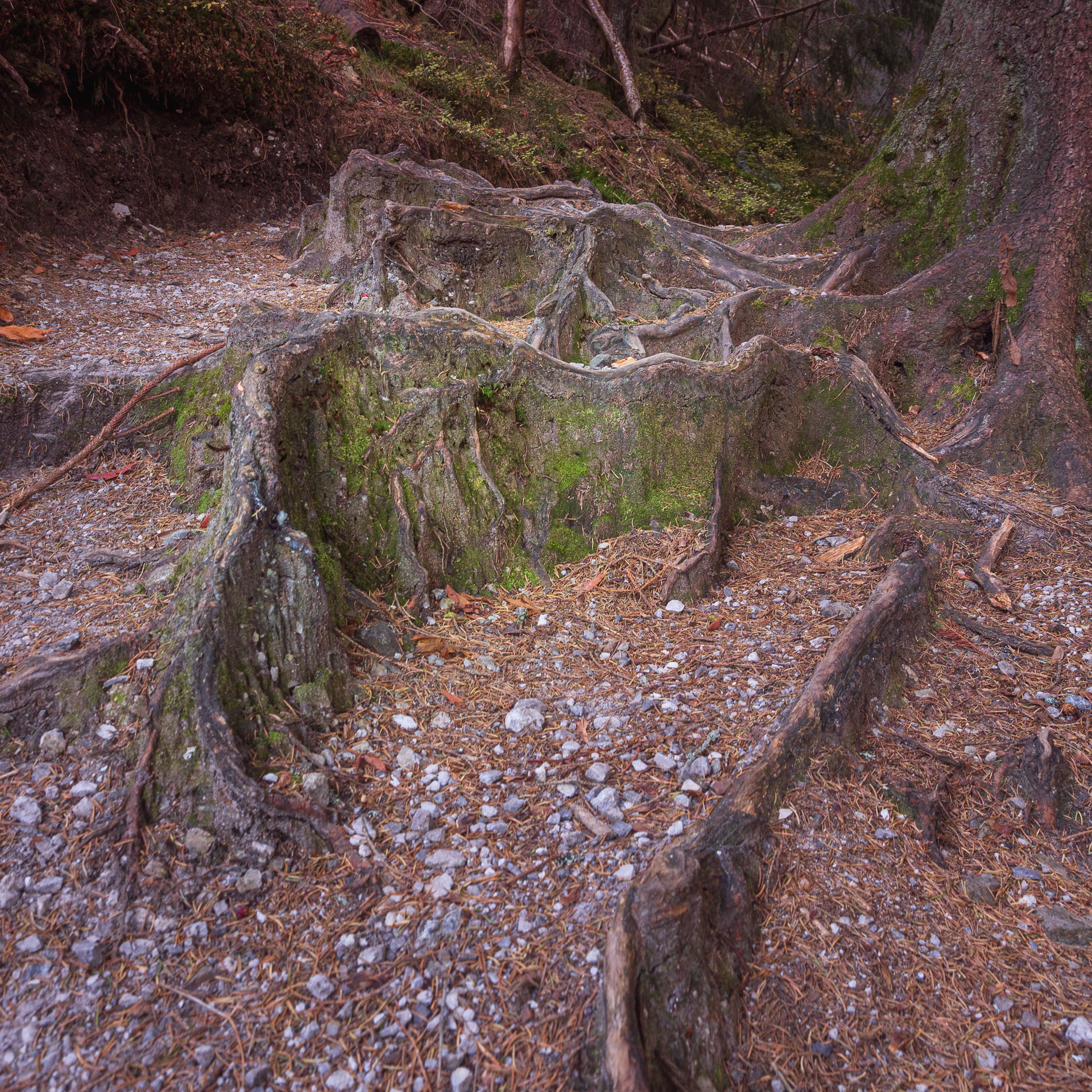 Lúčna od Zverovky (Západné Tatry)