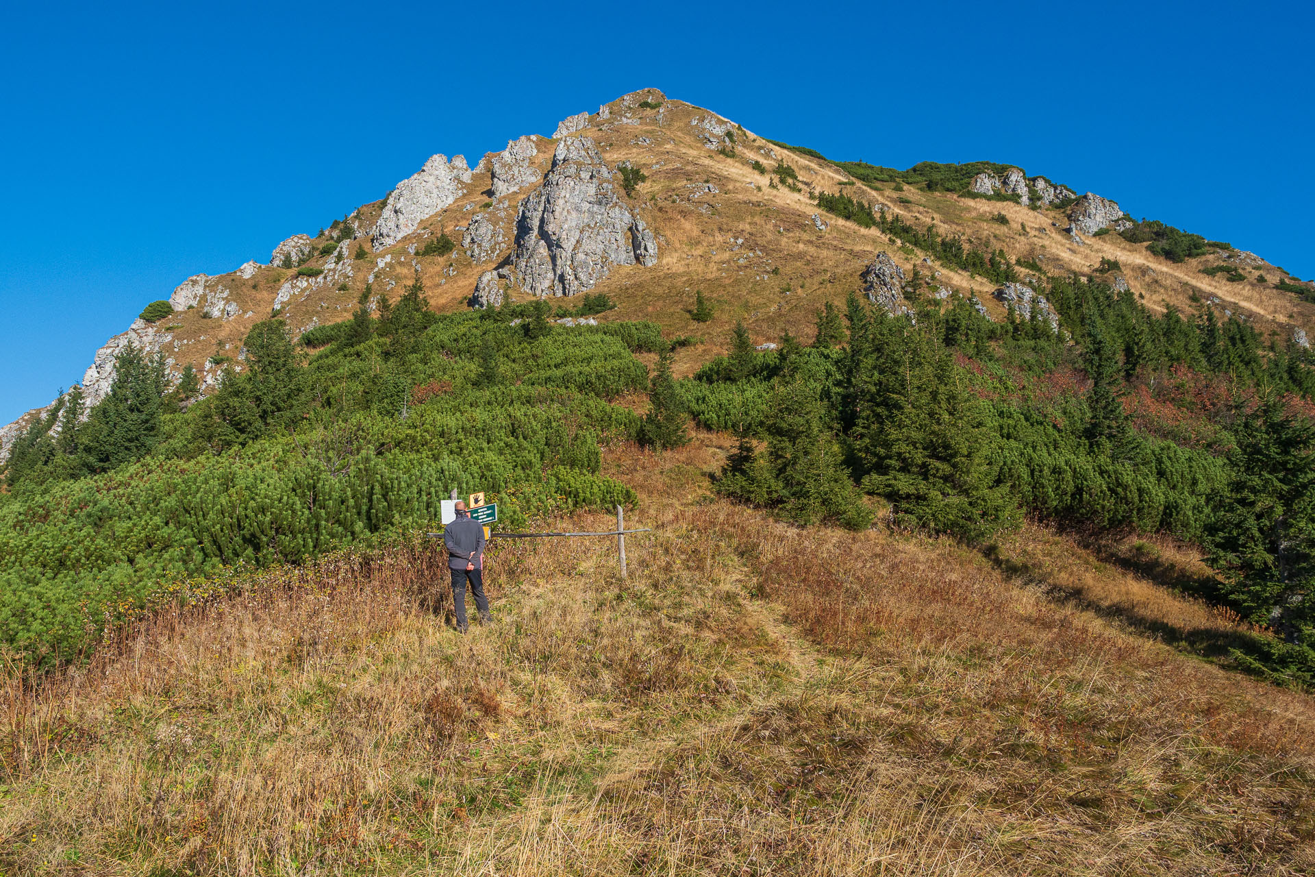 Lúčna od Zverovky (Západné Tatry)