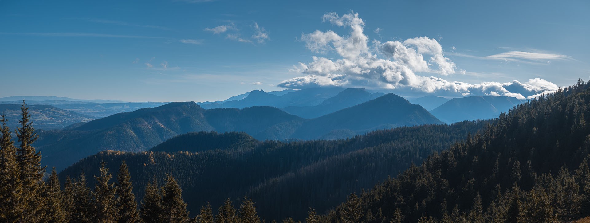 Lúčna od Zverovky (Západné Tatry)