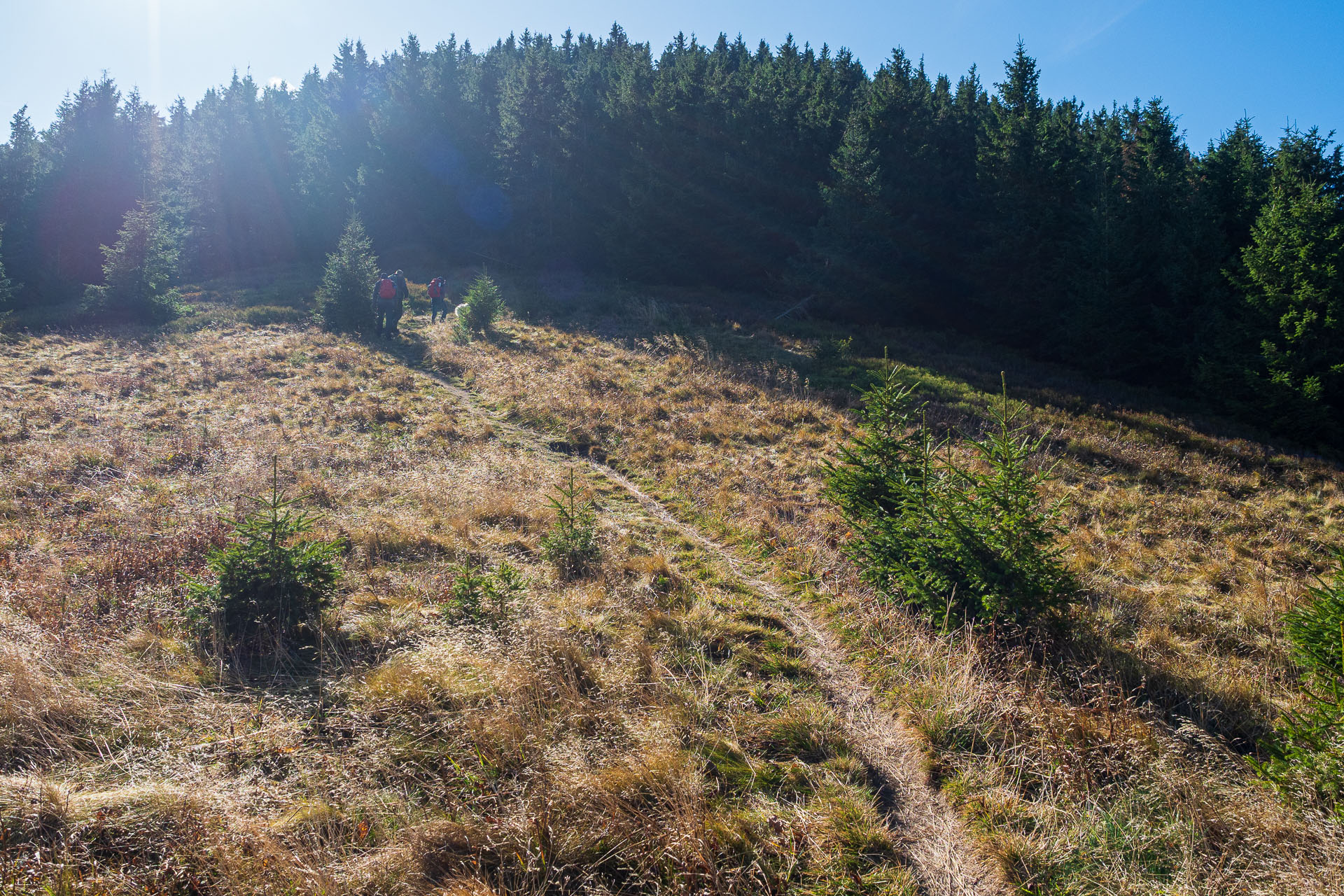 Lúčna od Zverovky (Západné Tatry)