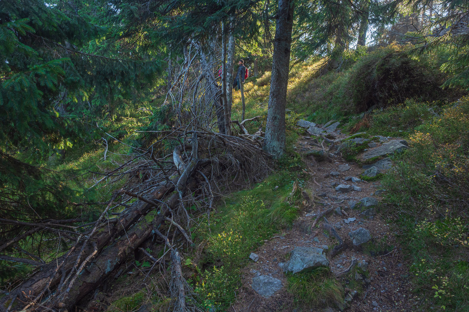 Lúčna od Zverovky (Západné Tatry)