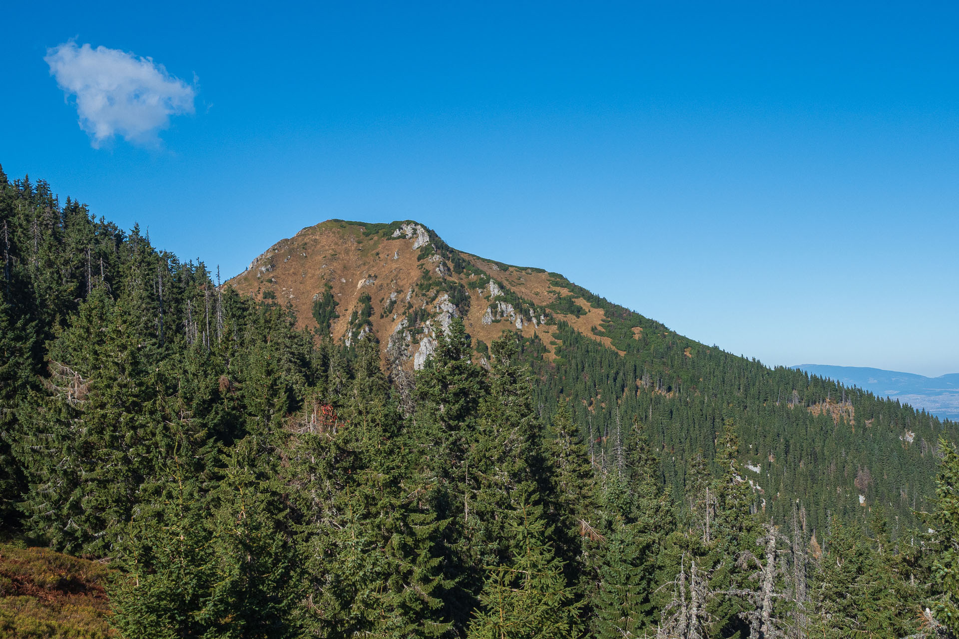 Lúčna od Zverovky (Západné Tatry)