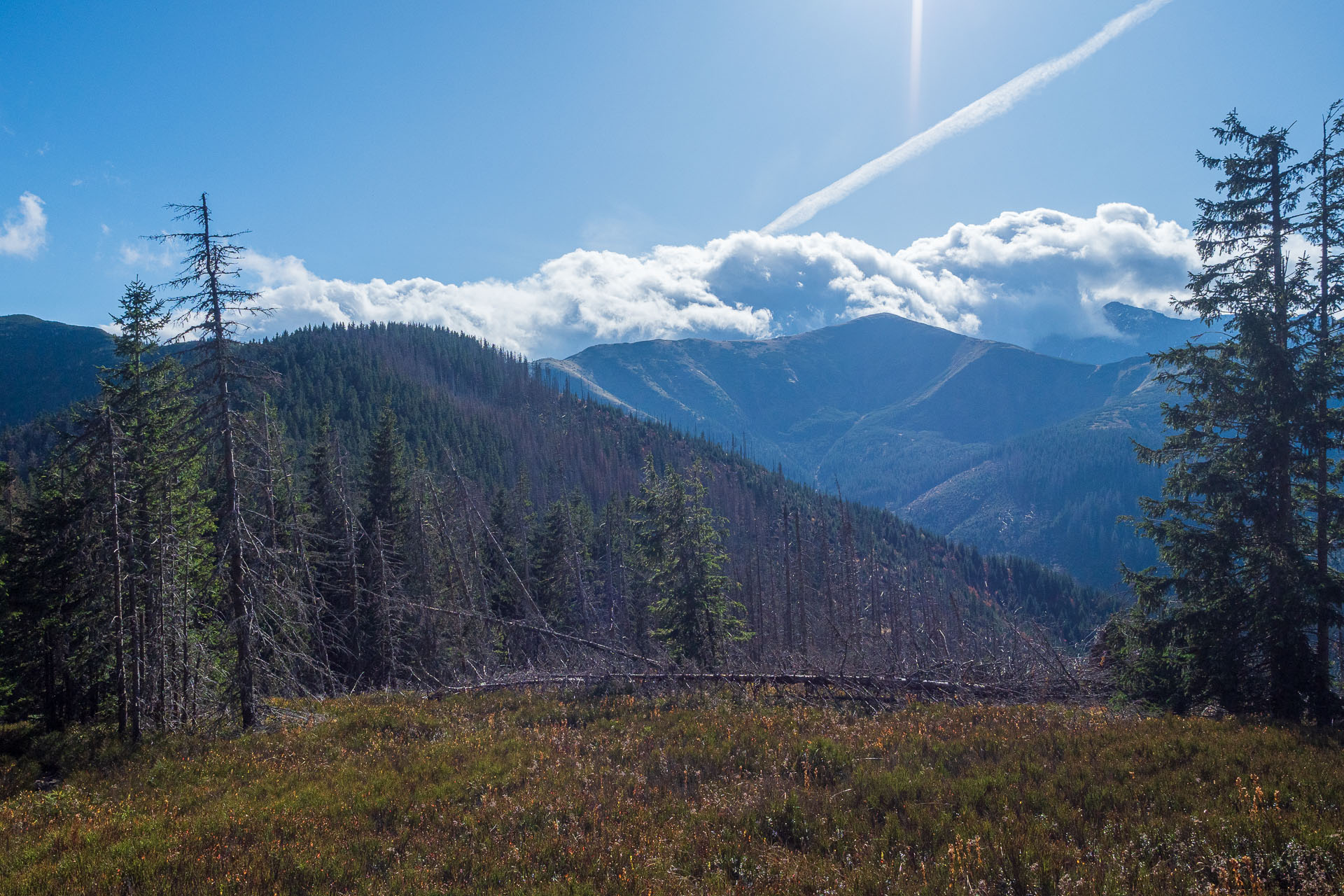 Lúčna od Zverovky (Západné Tatry)