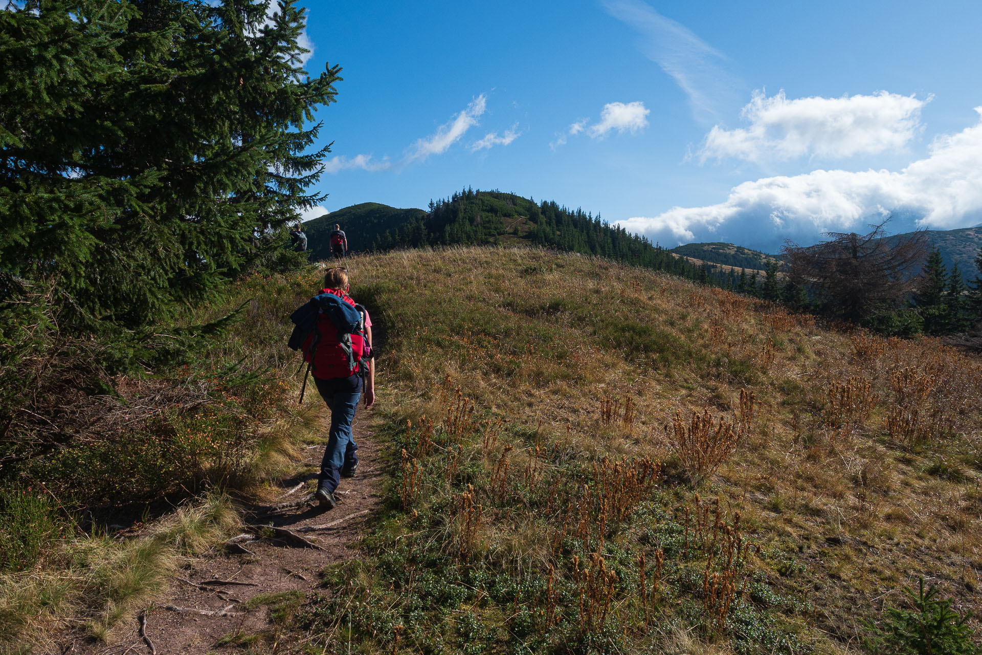 Lúčna od Zverovky (Západné Tatry)