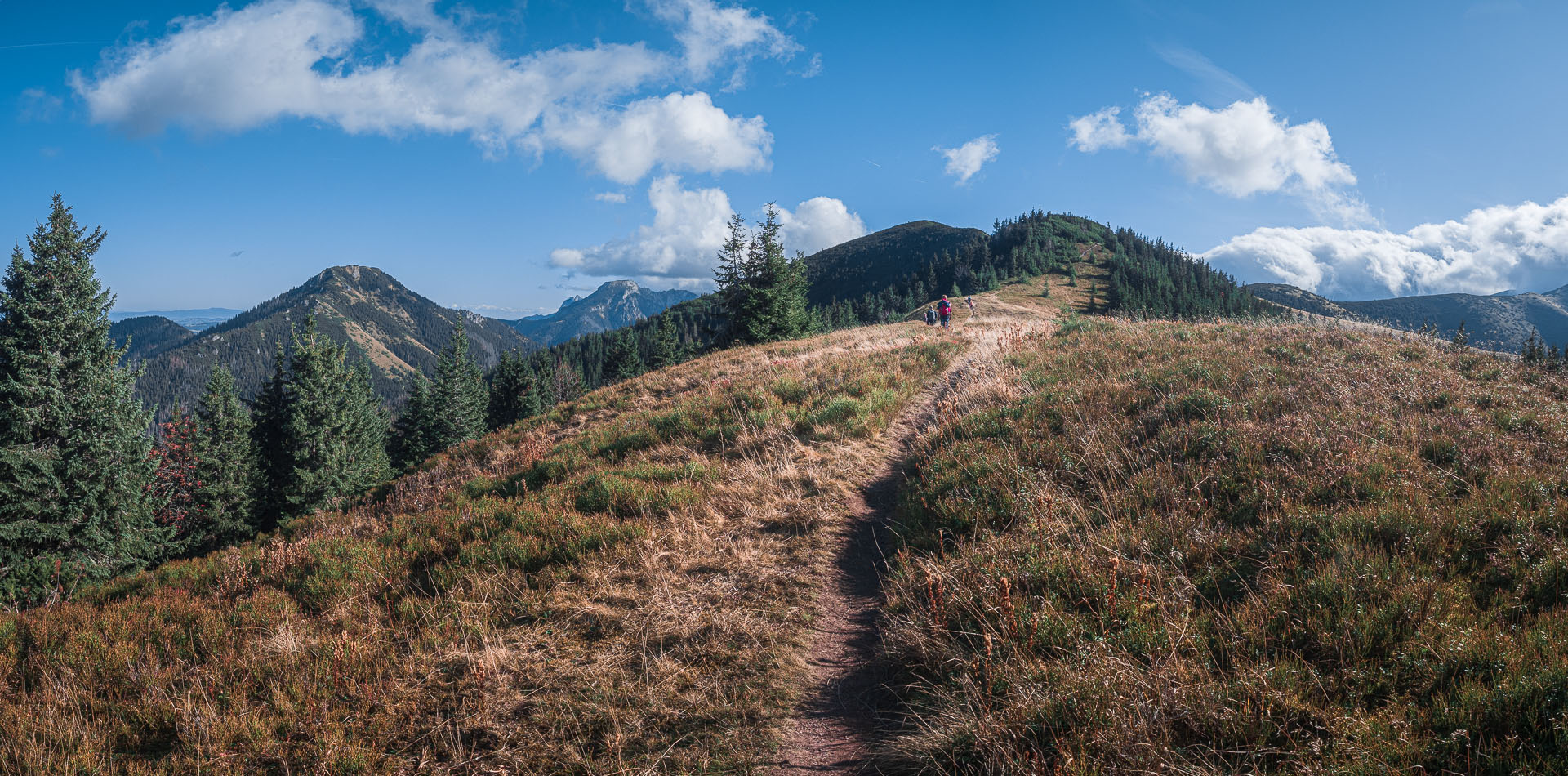 Lúčna od Zverovky (Západné Tatry)