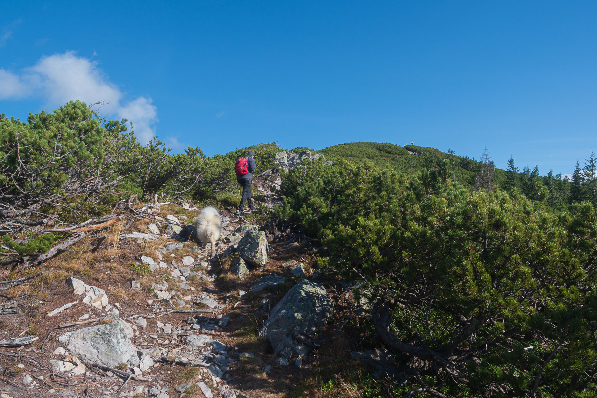 Lúčna od Zverovky (Západné Tatry)