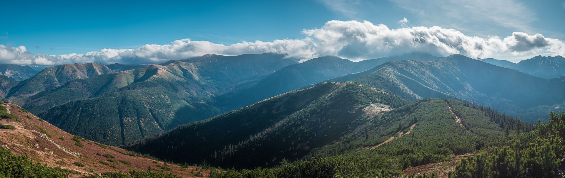 Lúčna od Zverovky (Západné Tatry)