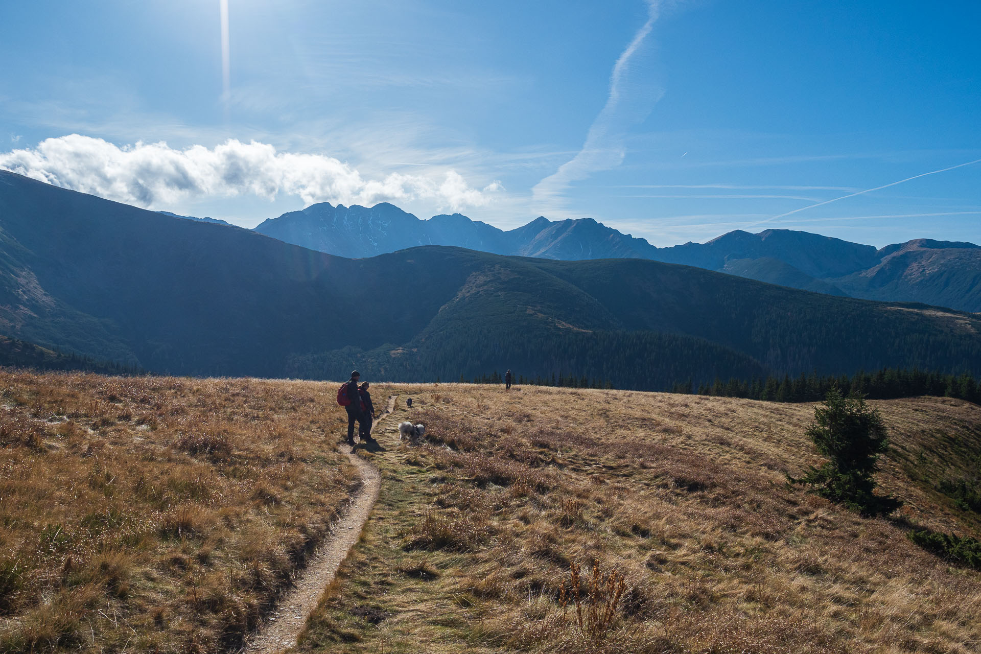 Lúčna od Zverovky (Západné Tatry)