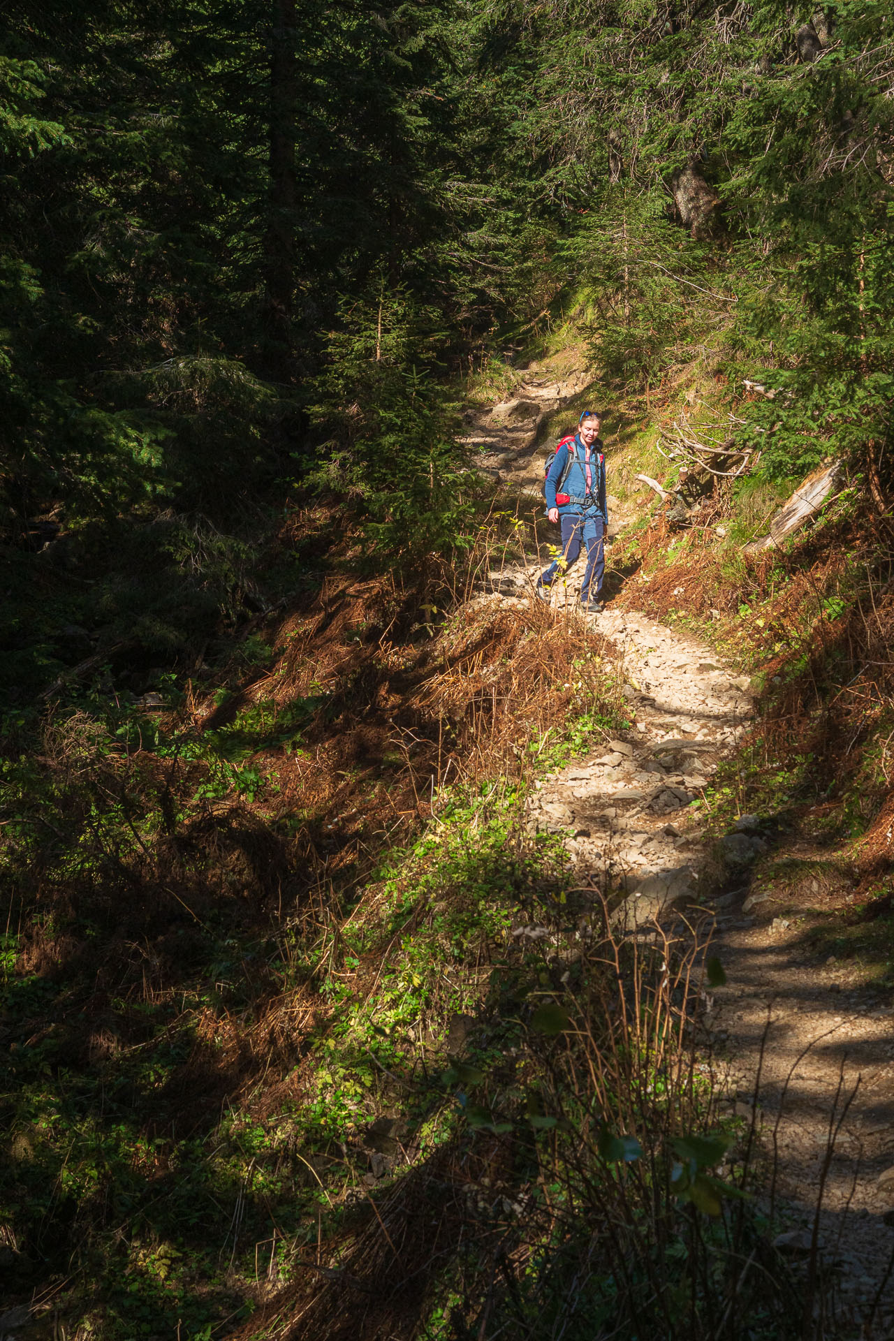 Lúčna od Zverovky (Západné Tatry)