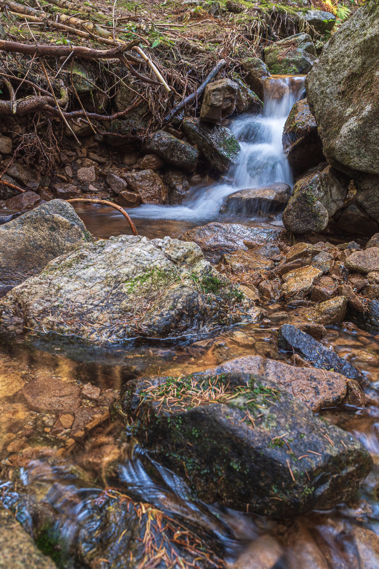 Lúčna od Zverovky (Západné Tatry)