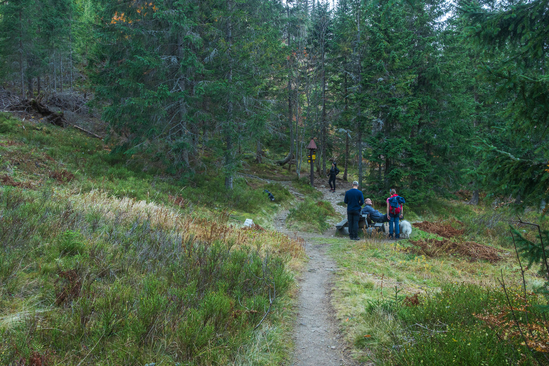 Lúčna od Zverovky (Západné Tatry)