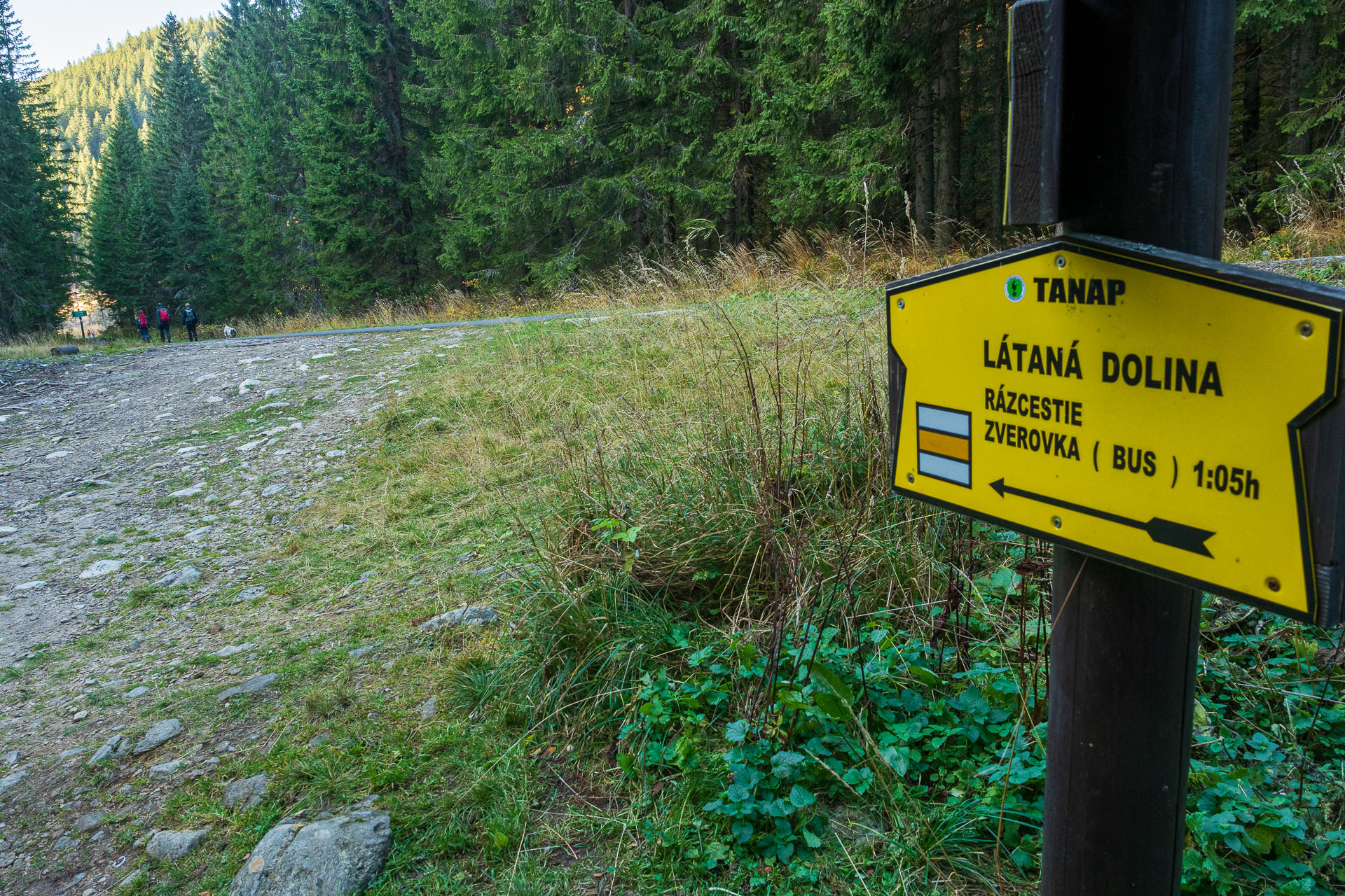 Lúčna od Zverovky (Západné Tatry)