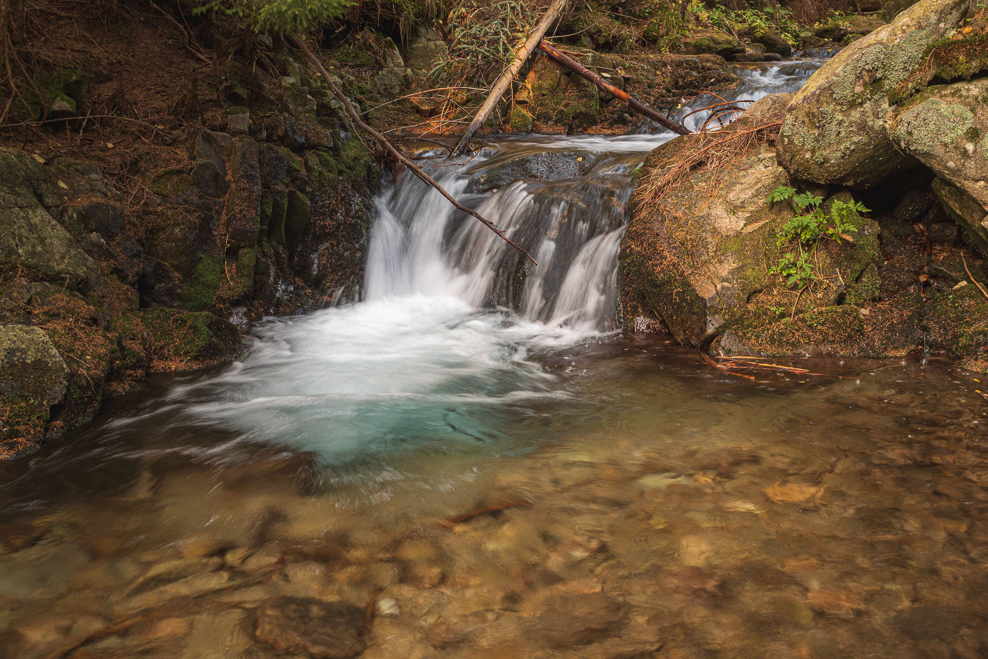 Lúčna od Zverovky (Západné Tatry)