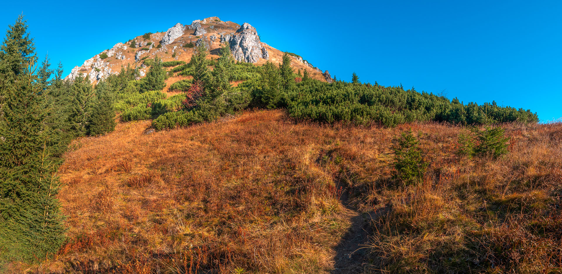 Lúčna od Zverovky (Západné Tatry)