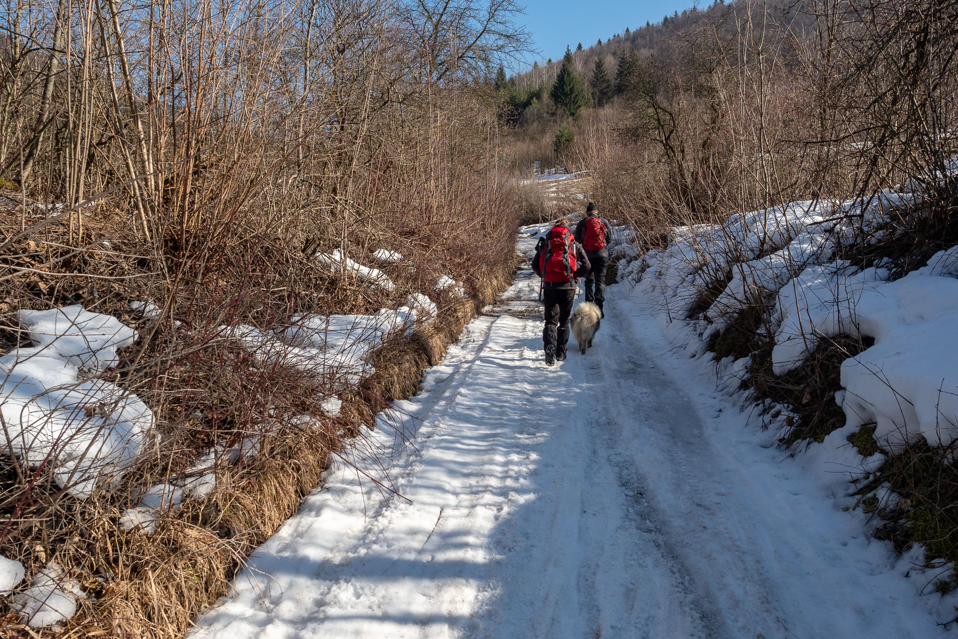 Šíp zo Stankovian (Veľká Fatra)