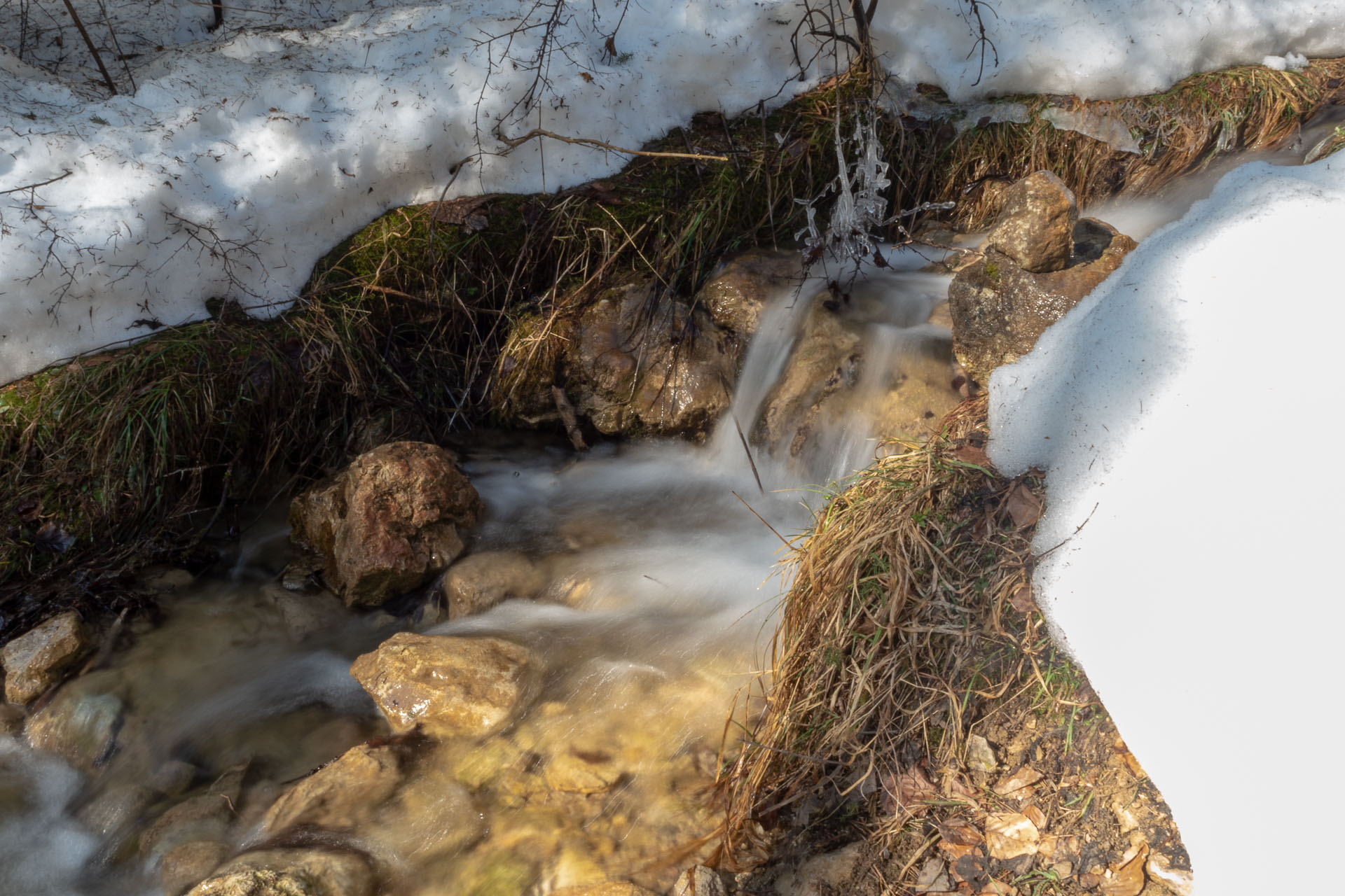 Šíp zo Stankovian (Veľká Fatra)