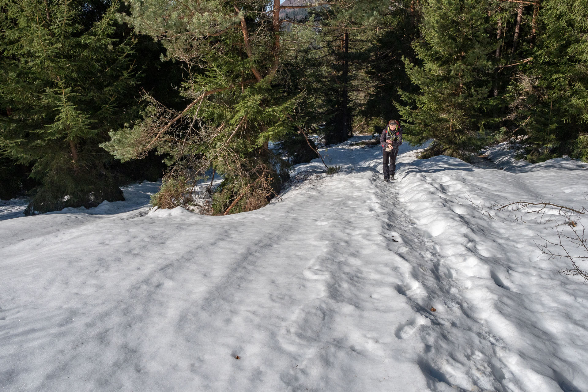 Šíp zo Stankovian (Veľká Fatra)