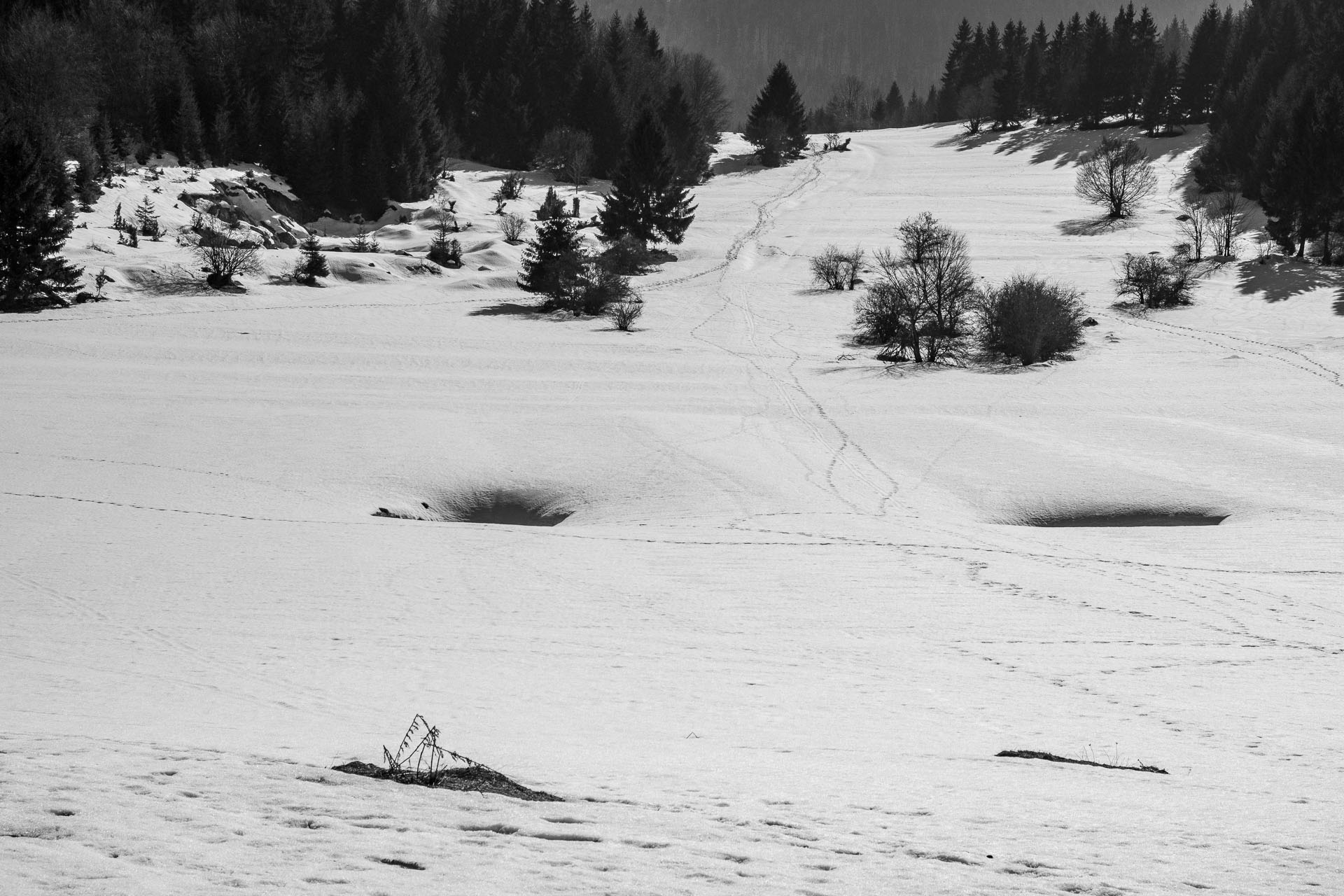 Šíp zo Stankovian (Veľká Fatra)