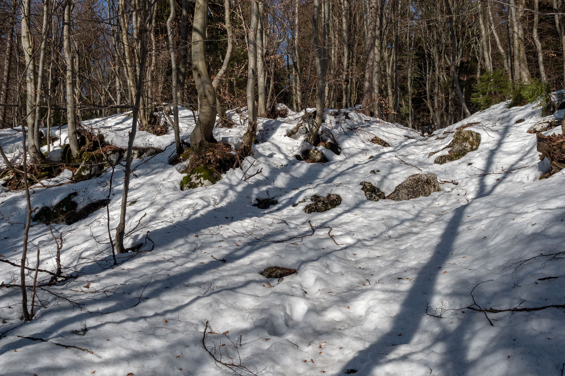 Šíp zo Stankovian (Veľká Fatra)