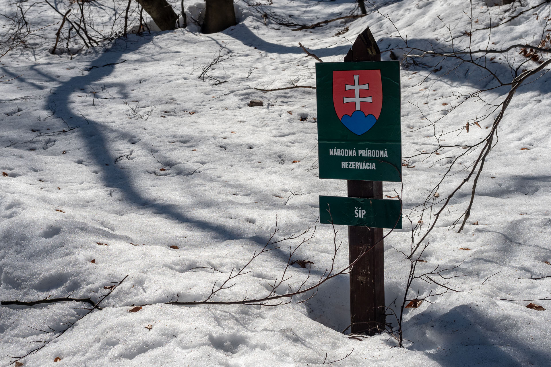 Šíp zo Stankovian (Veľká Fatra)