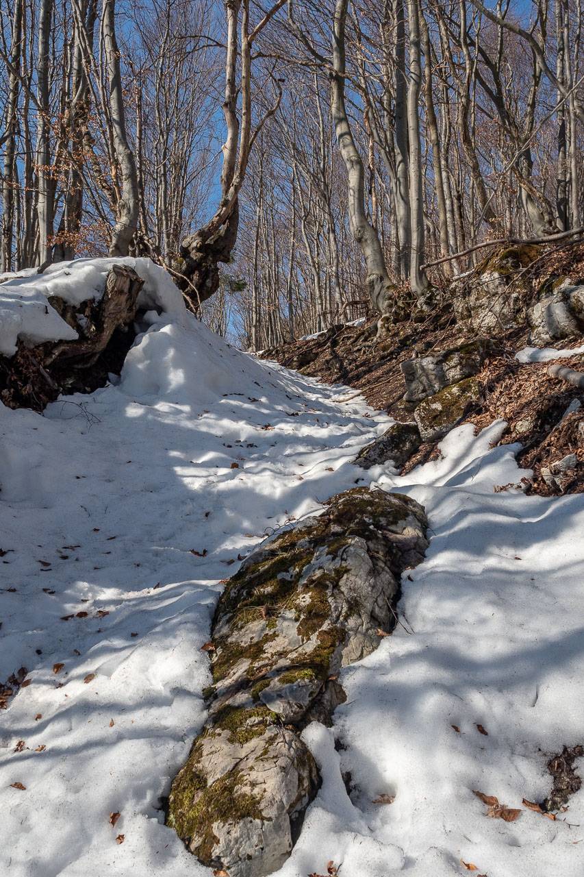 Šíp zo Stankovian (Veľká Fatra)