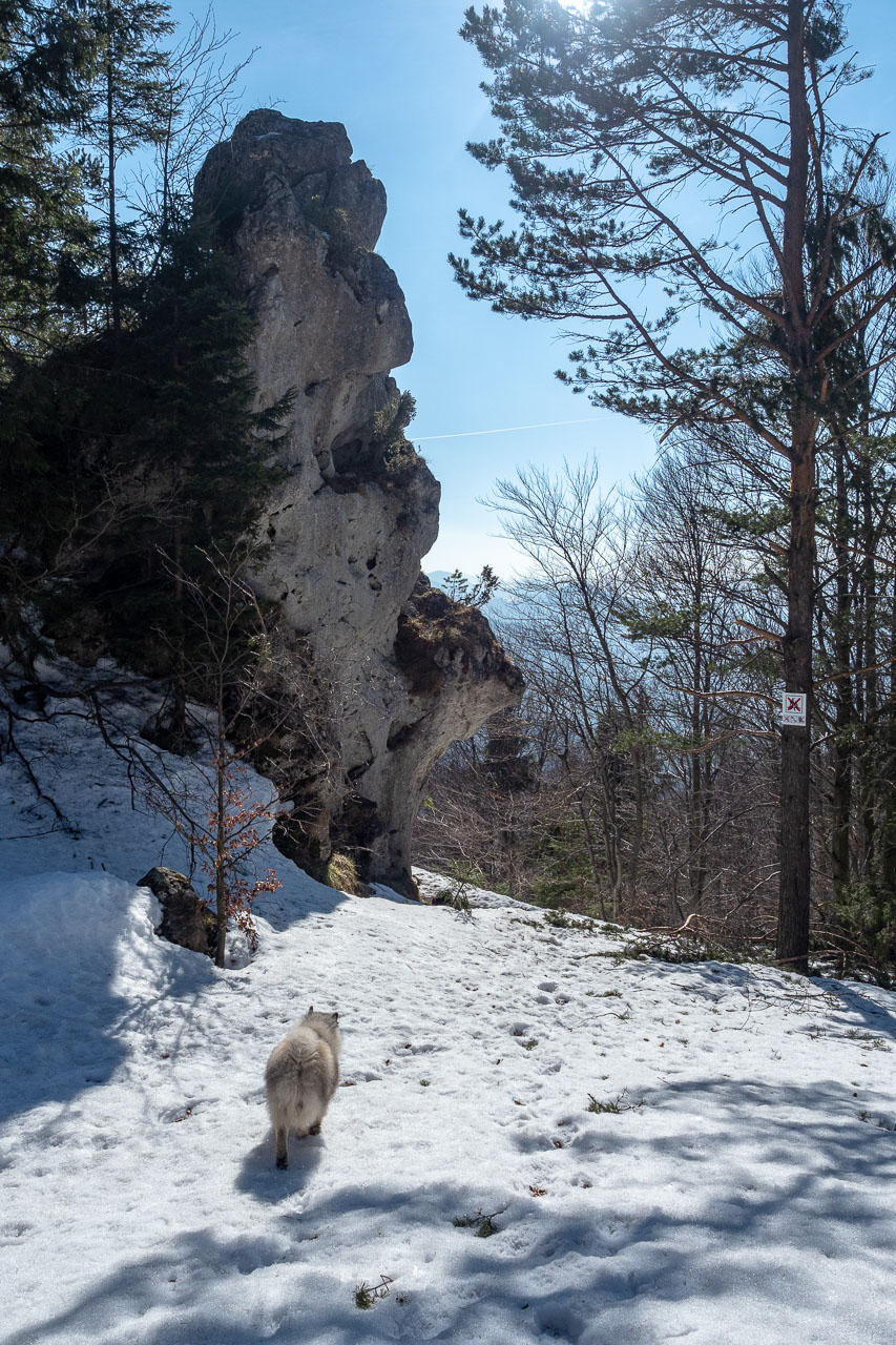 Šíp zo Stankovian (Veľká Fatra)