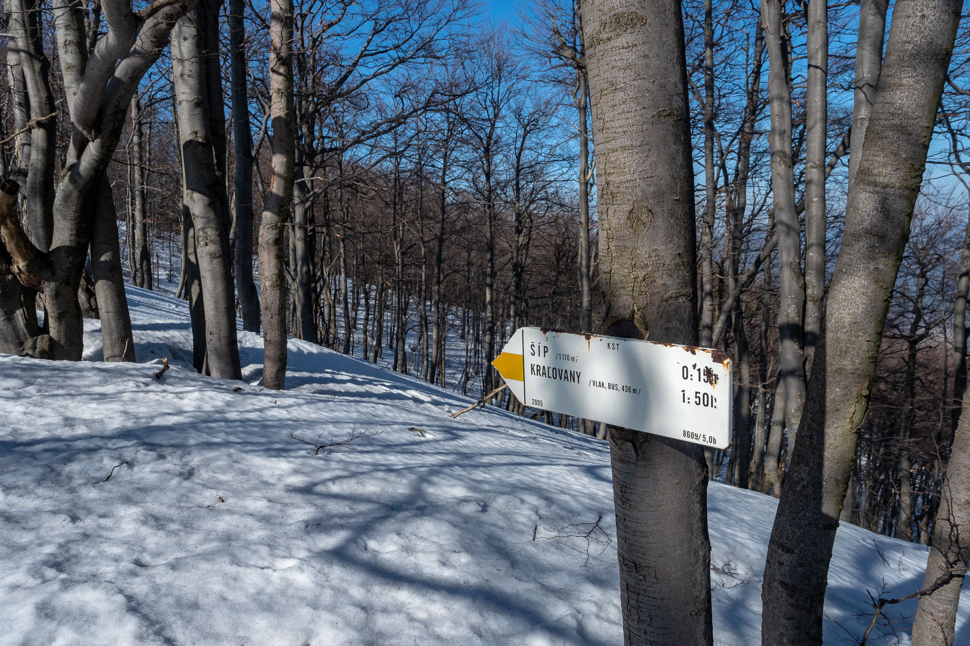 Šíp zo Stankovian (Veľká Fatra)