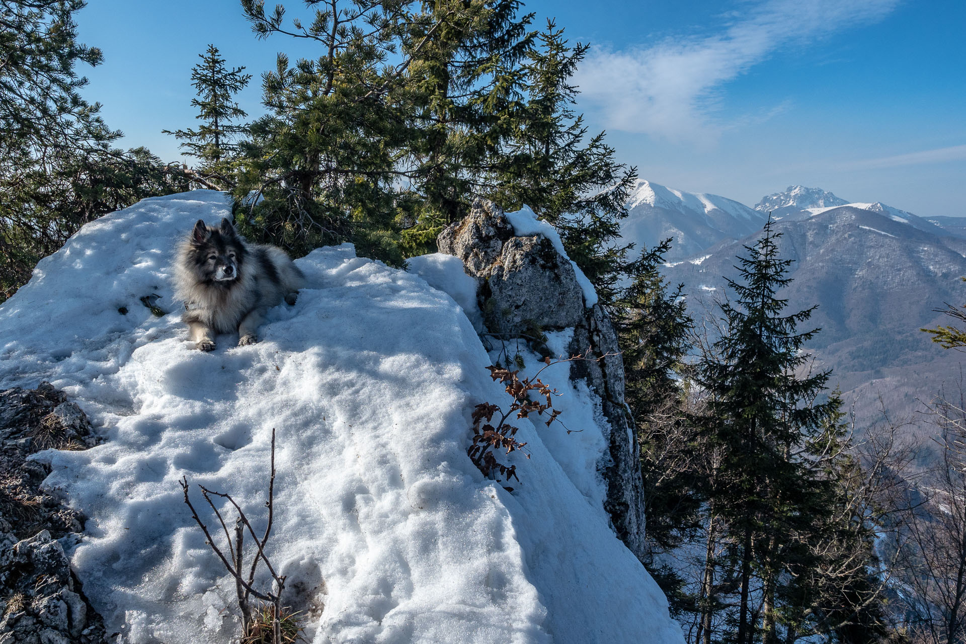 Šíp zo Stankovian (Veľká Fatra)