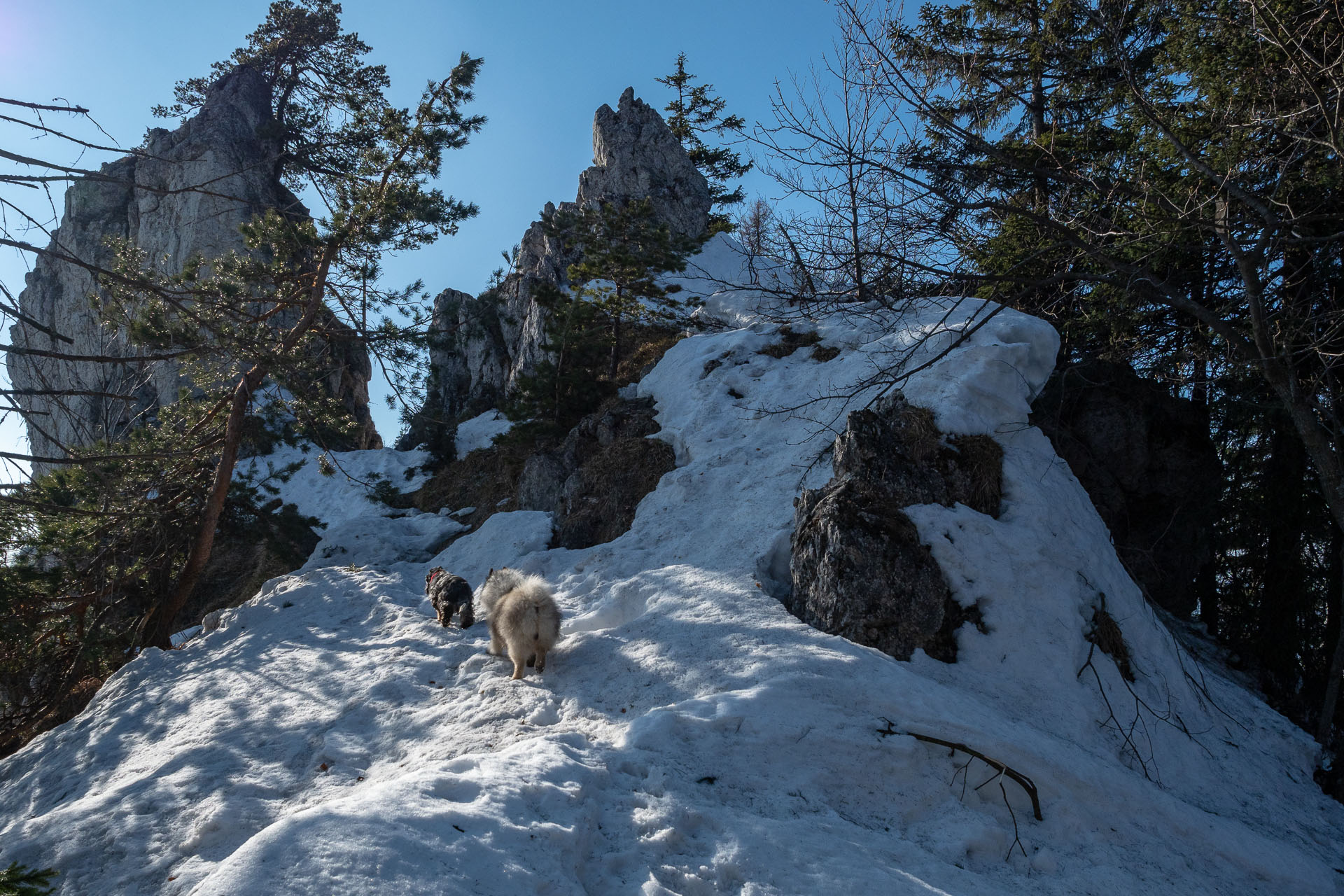 Šíp zo Stankovian (Veľká Fatra)