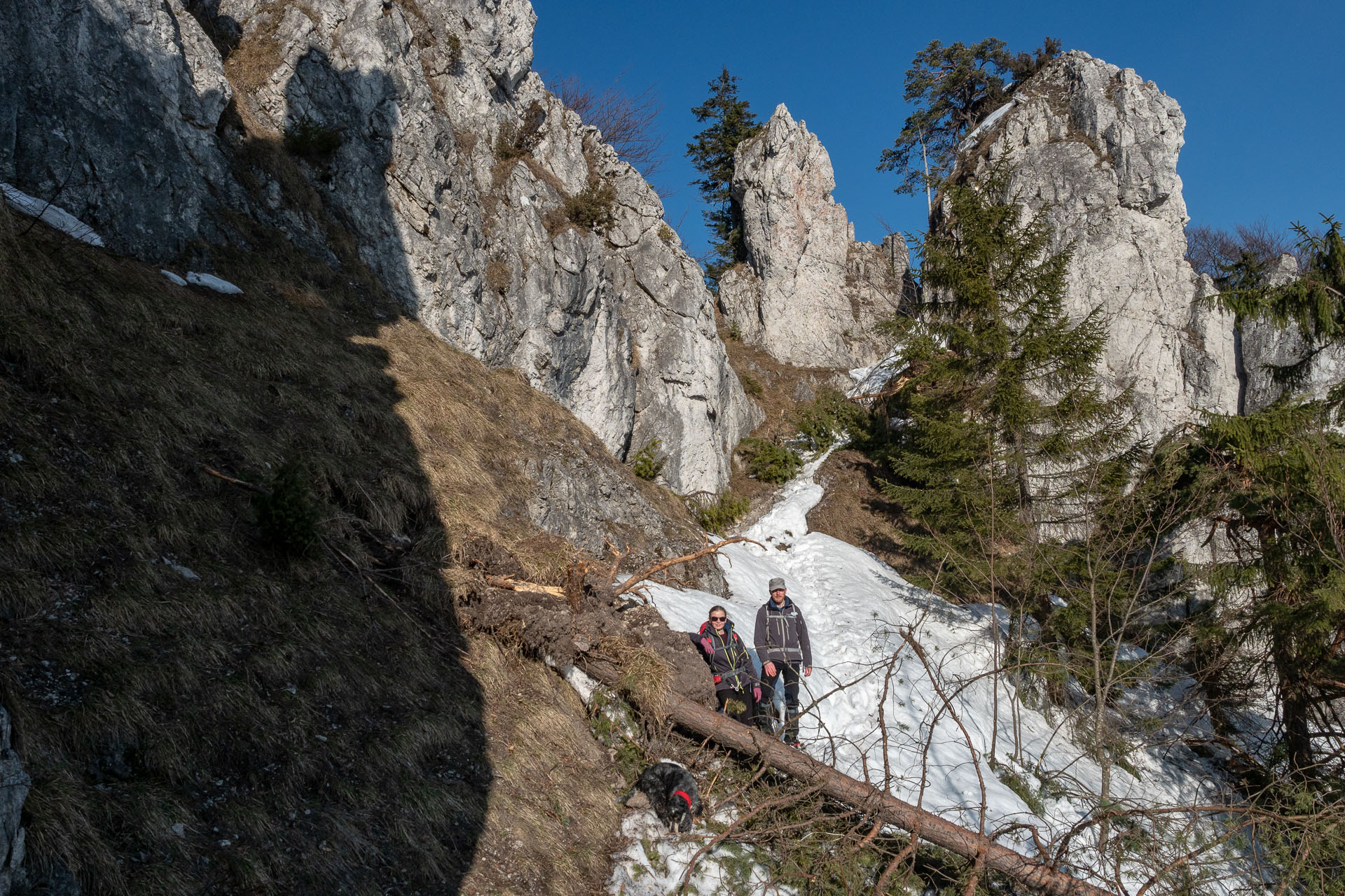 Šíp zo Stankovian (Veľká Fatra)