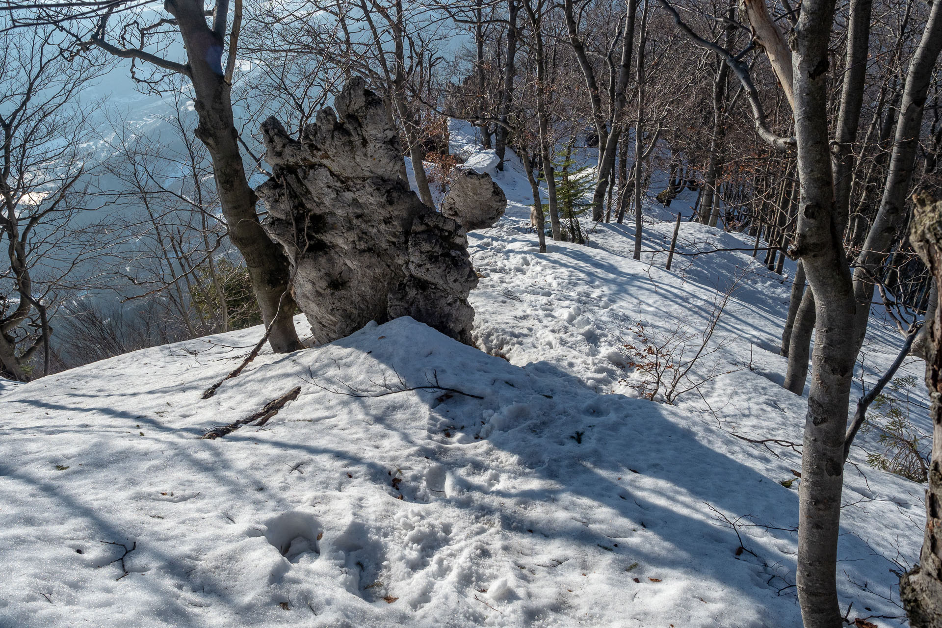 Šíp zo Stankovian (Veľká Fatra)