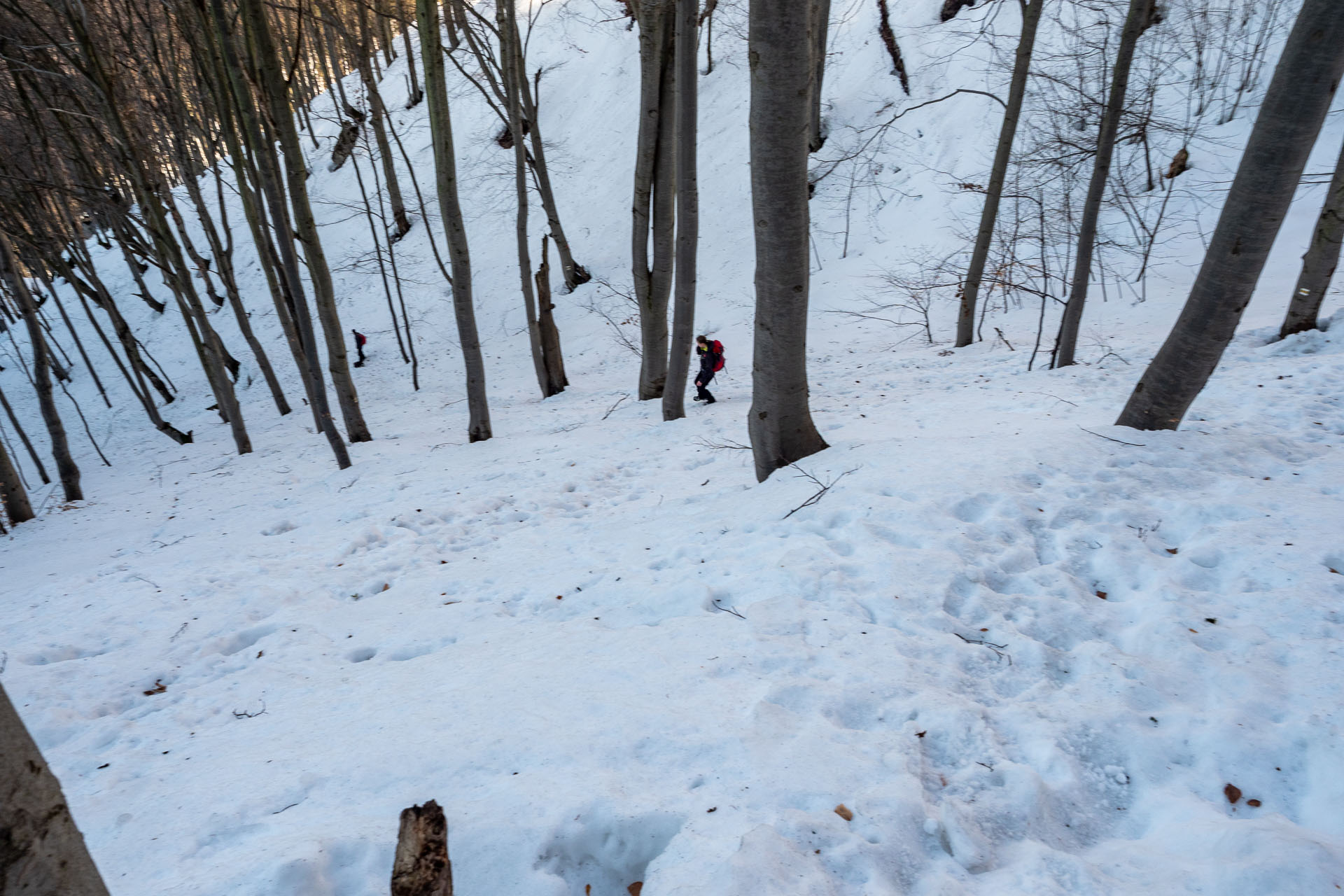 Šíp zo Stankovian (Veľká Fatra)