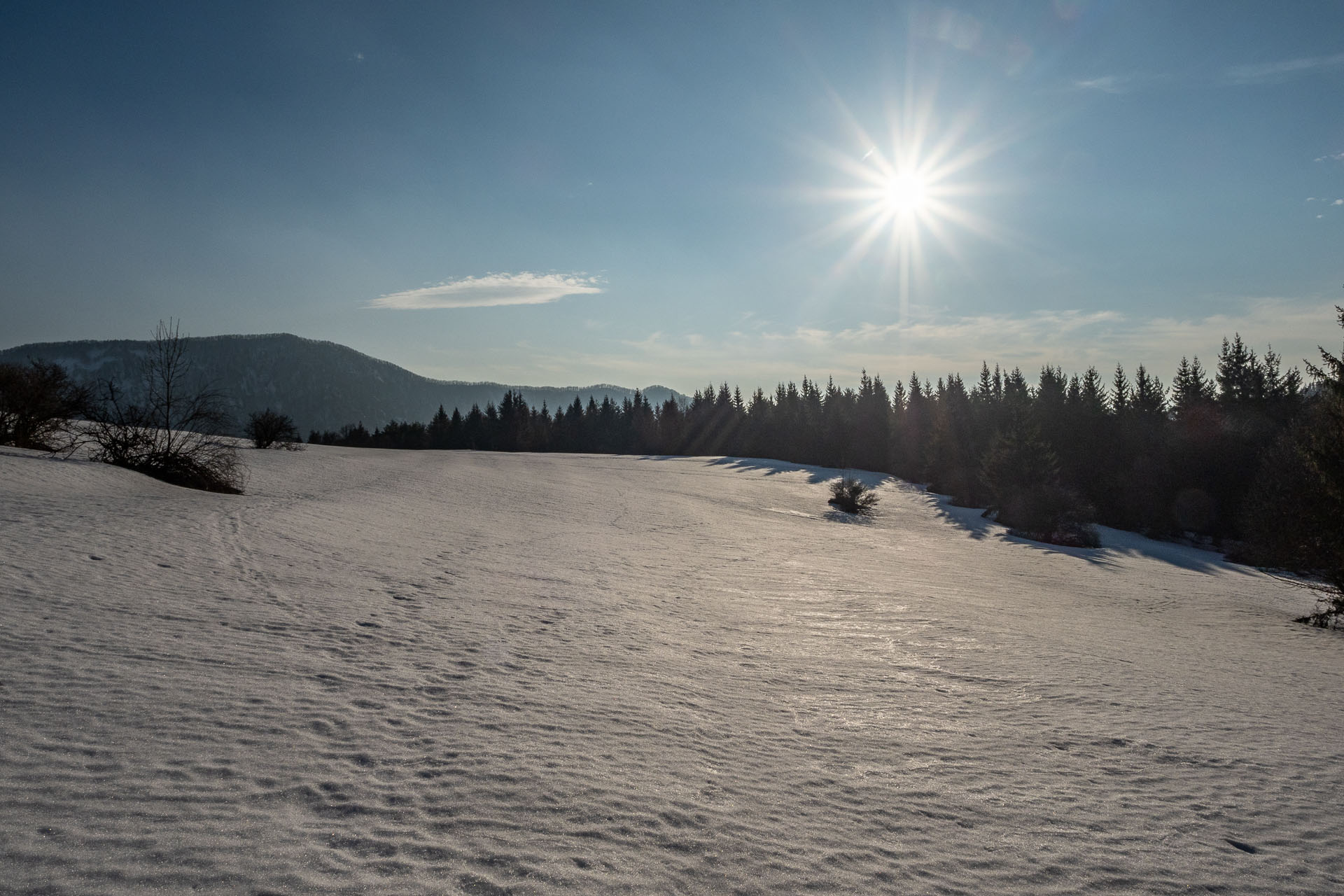 Šíp zo Stankovian (Veľká Fatra)