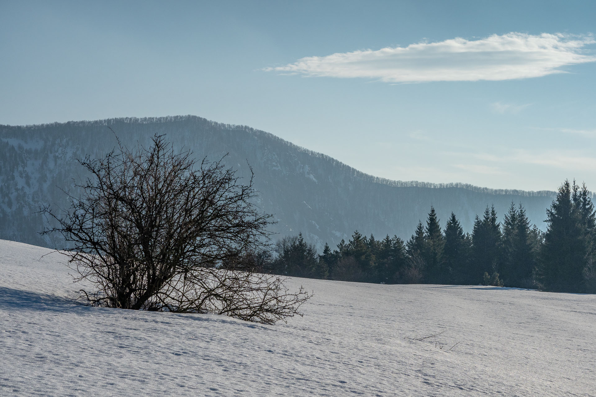 Šíp zo Stankovian (Veľká Fatra)