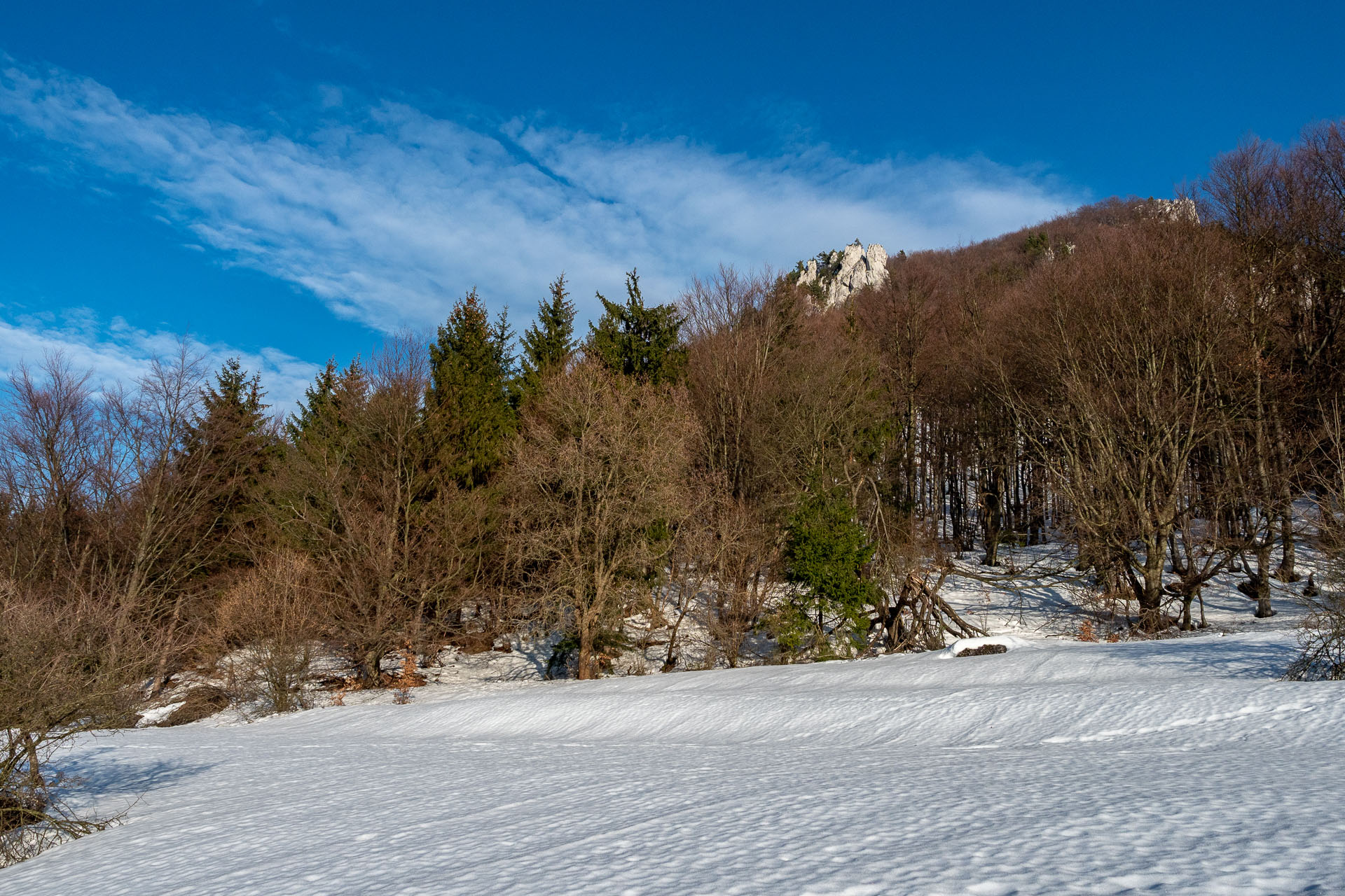 Šíp zo Stankovian (Veľká Fatra)